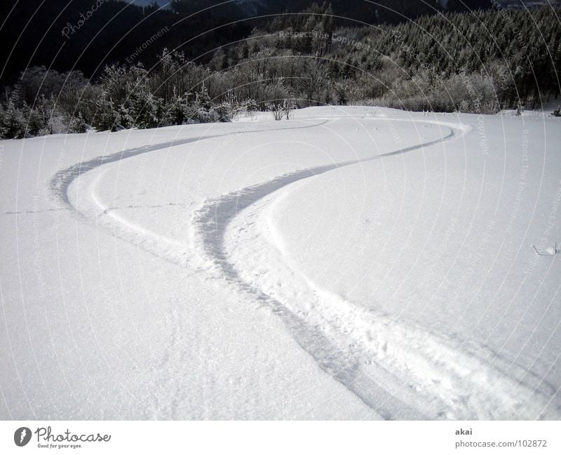 Summer's over! Winter Schauinsland Romance Sunlight Contrast Mountain Beautiful Snow Tracks Landscape Vacation & Travel Painted Edge of the forest Side by side