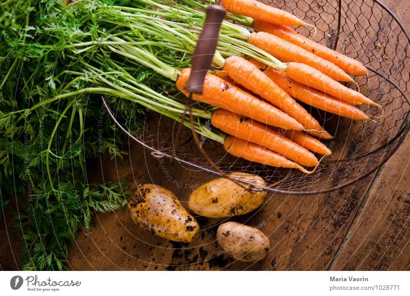 Garden vegetables 4 Food Vegetable Eating Organic produce Vegetarian diet Diet Healthy Healthy Eating Earth Fresh Natural Potatoes Carrot Wooden table