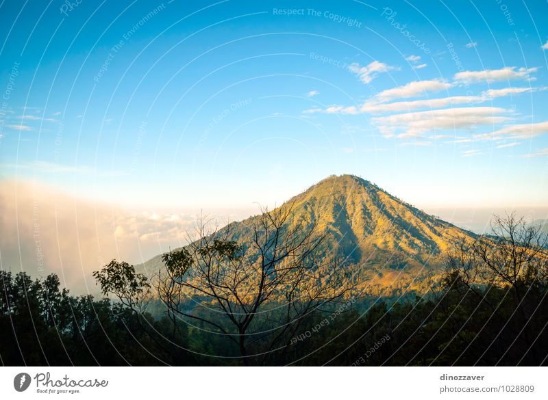 Kawah Ijen mountains Vacation & Travel Tourism Mountain Man Adults Nature Landscape Clouds Fog Tree Forest Rock Volcano Lake Blue Dangerous Indonesia