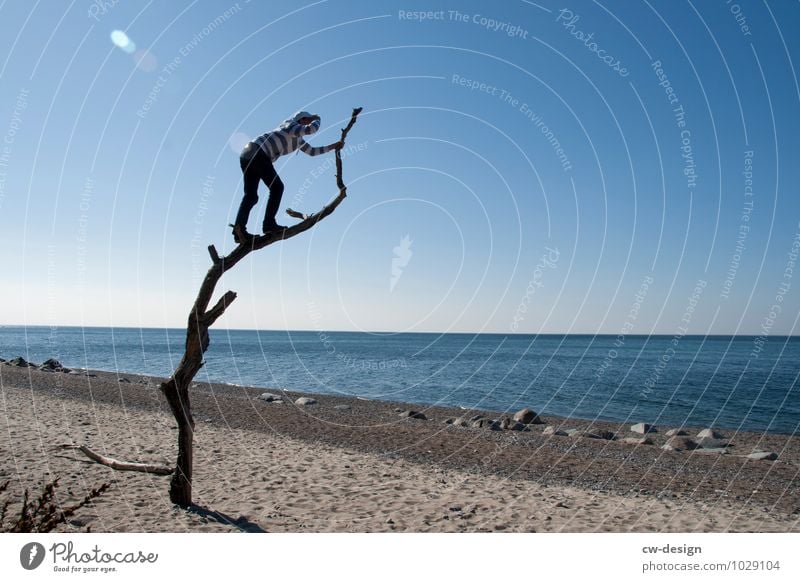 Young man climbs old tree on beach and enjoys the view Beach Vantage point Lookout tower Vacation & Travel Tourism Colour photo younger Panorama (View)