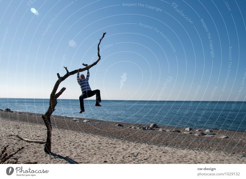 Youth hanging from a tree on the beach of Hiddensee person Beach Blue beach sand