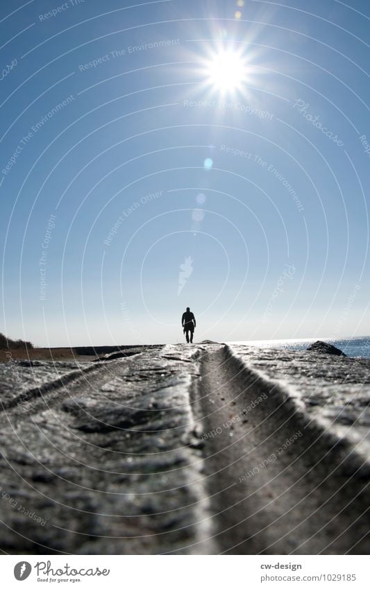 A day at the sea Human being Masculine Man Adults Life 1 30 - 45 years Nature Water Cloudless sky Sunlight Spring Summer Autumn Coast Beach Bay Baltic Sea