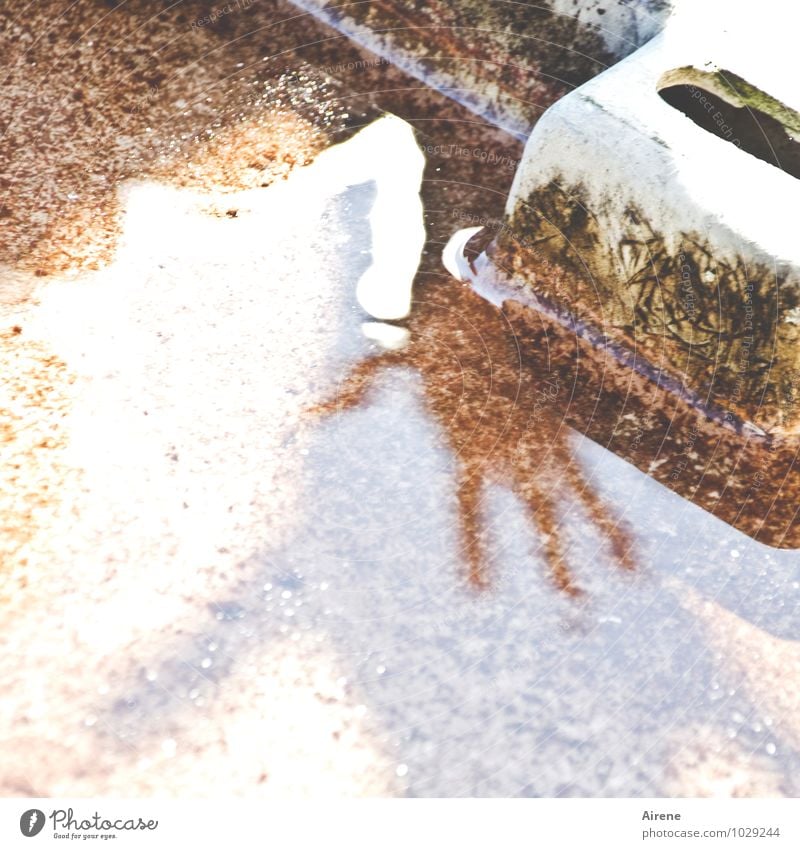 four-finger monster Water basin Well Hand Fingers Stone Concrete Touch Creepy Brown White Fear Dangerous Fear of death Whimsical Surrealism Eerie Threat