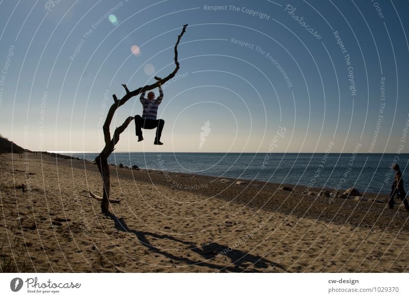 Teen hangs from a bare tree on the beach Beach Tree younger Youth (Young adults) teen Youthfulness juvenile recklessness Youth culture youthful Youth movement