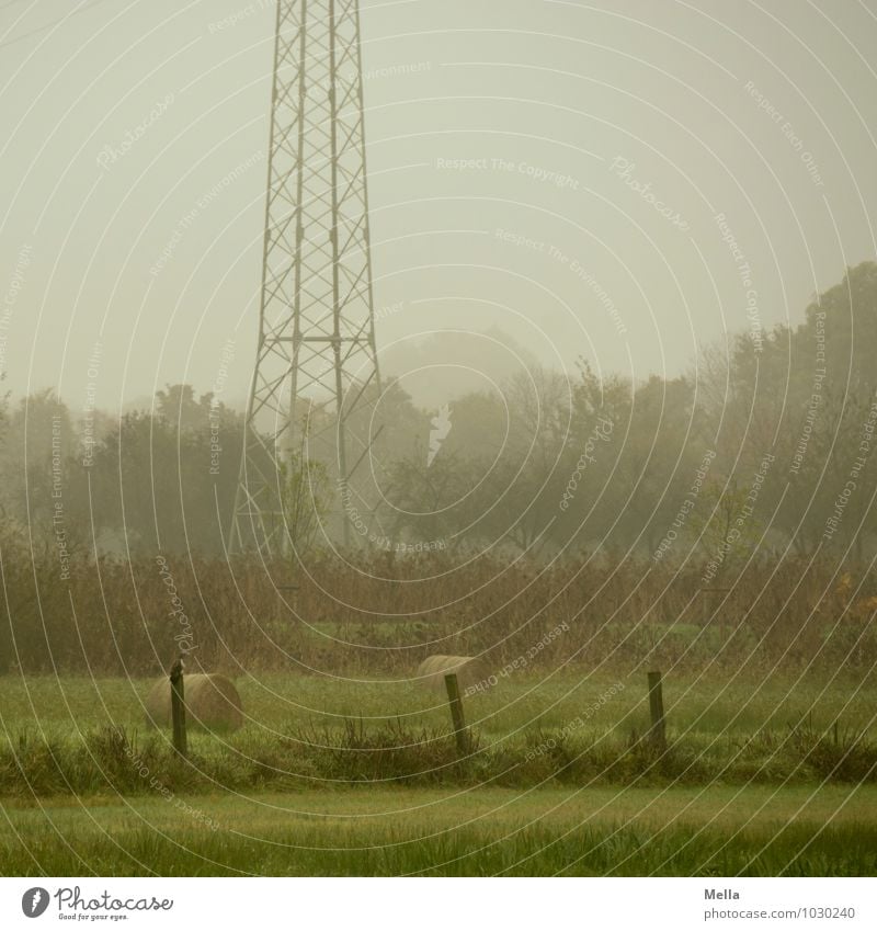 still air Technology Energy industry Electricity pylon Environment Nature Landscape Climate Fog Tree Grass Meadow Pasture Natural Gray Green Calm Fence