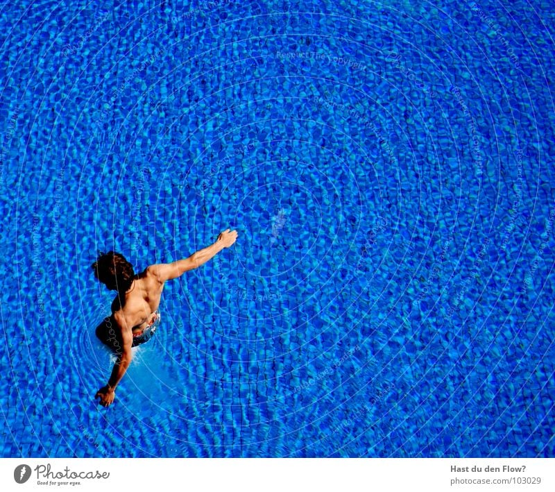 still dry Man Swimming pool Springboard Jump Dive Open-air swimming pool Summer Good mood Swimming trunks Aquatics Blue Guy Water plunge pools diving pools