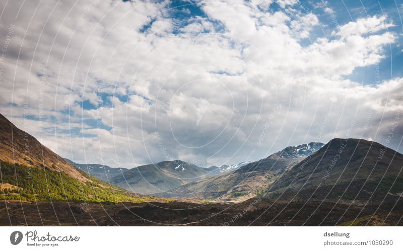 in the area with bergen. Environment Nature Landscape Sky Clouds Summer Beautiful weather Meadow Field Hill Rock Mountain Peak To enjoy Juicy Clean Wild Blue