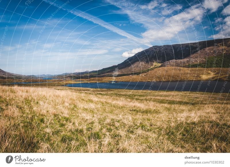 a lot against it. Environment Nature Landscape Sky Clouds Summer Beautiful weather Meadow Field Hill Rock Mountain Peak Canyon Glen Affric Lakeside Hole Affric