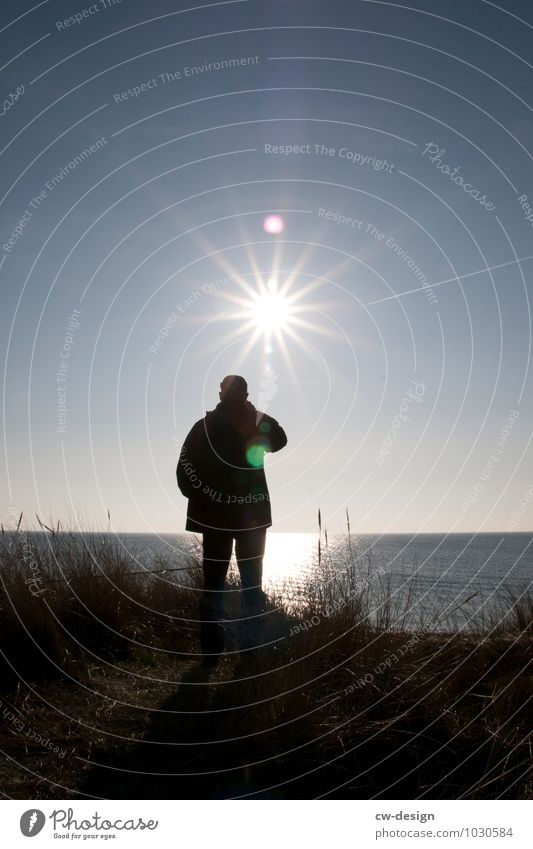 A young person in the dunes of Hiddensee at sunset with a fantastic view of the sea persons Beach Beach dune Sunlight Sunbeam Silhouette Summer vacation