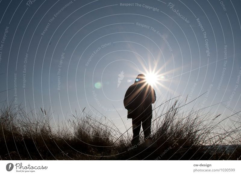 A young person in the dunes of Hiddensee in bright sunshine with a fantastic view of the sea persons Beach Beach dune Sunlight Sunbeam Silhouette