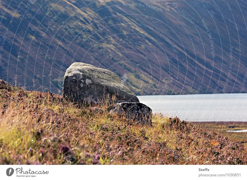 Late summer in Scotland Nordic Sparse Nordic nature Nordic romanticism Scottish weather Nordic wild plants Scottish summer Summer in Scotland