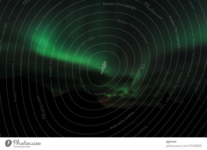 northern lights Adventure Far-off places Winter Nature Sky Cloudless sky Night sky Stars Horizon Autumn Beautiful weather Snow Aurora Borealis Fjord