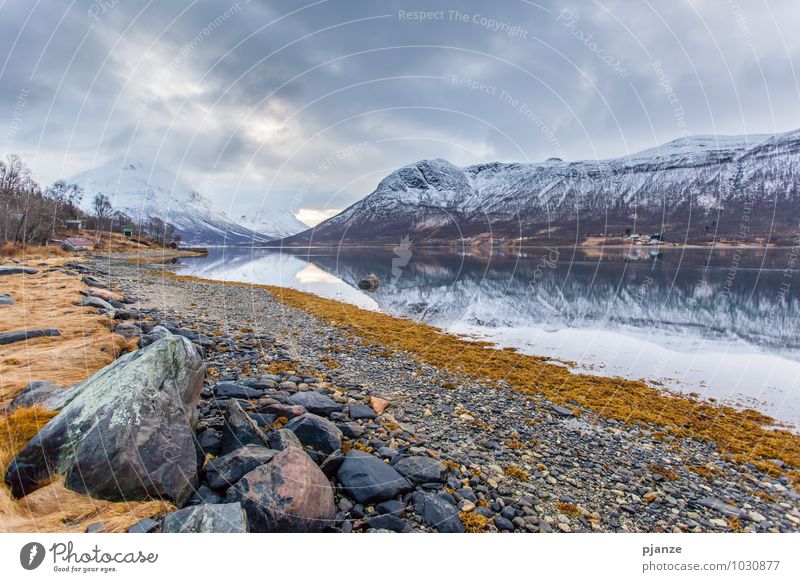 Mirror, mirror... Vacation & Travel Adventure Far-off places Freedom Mountain Nature Landscape Water Sky Clouds Autumn Wind Plant Tree Fern Glacier Coast Fjord