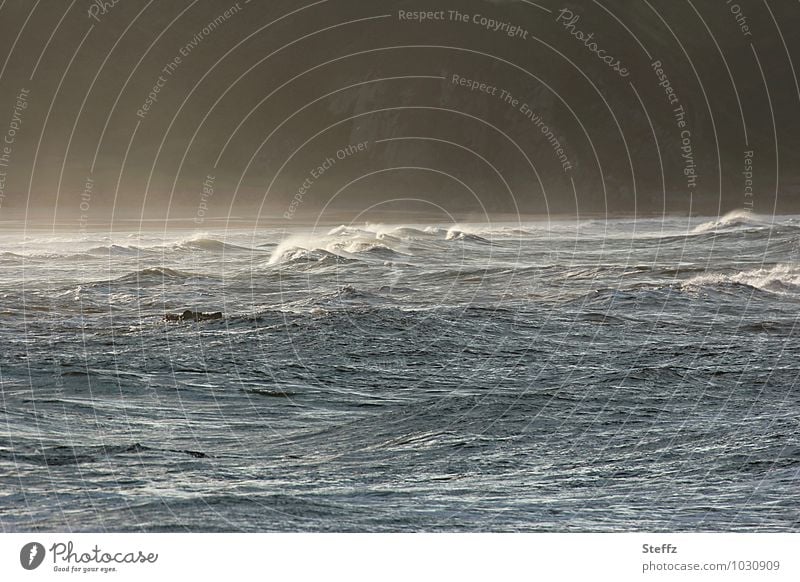 a bay in Scotland North Sea North Sea coast Nordic Nordic romanticism Scottish nature Scottish summer Fog Shroud of fog Misty atmosphere Waves certain light