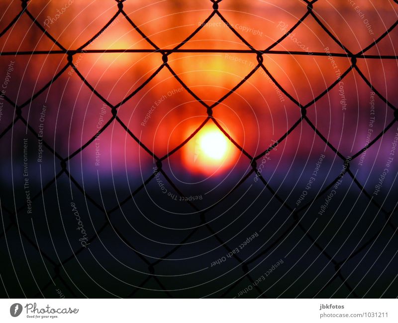 Off/Locked Environment Kitsch Sunset Sunlight Wire netting fence Fence Confine Closed Exclude Wire fence Exterior shot Evening Twilight Back-light