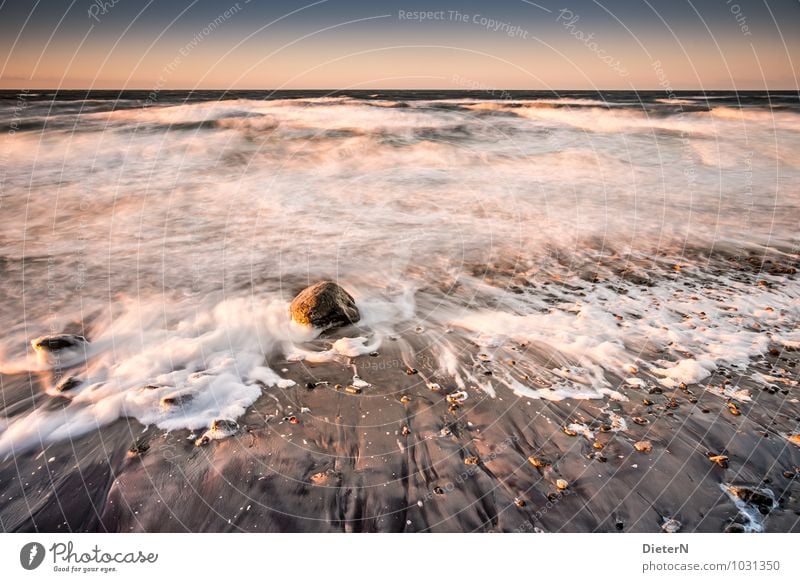 Rock in the surf Beach Ocean Waves Winter Landscape Earth Sand Water Sky Cloudless sky Clouds Horizon Wind Gale Coast Baltic Sea Brown Yellow Gold White