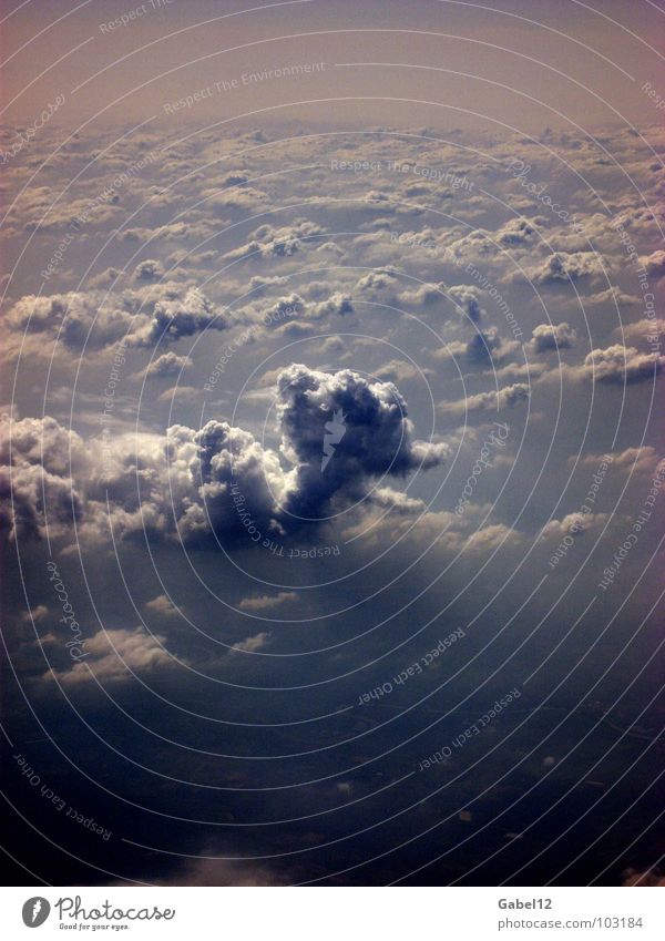 pillar of cloud Clouds Dark Bird's-eye view Sky Thunder and lightning sea of clouds Cloud field Cloud cover