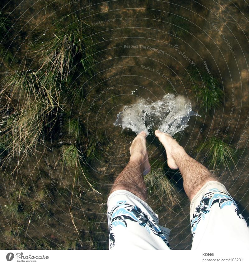 loosing weight Jump Reflection Surface Animal Summer Inject Funsport Leisure and hobbies Flying fly Tall up Upward Downward Water take Drops of water drop Feet