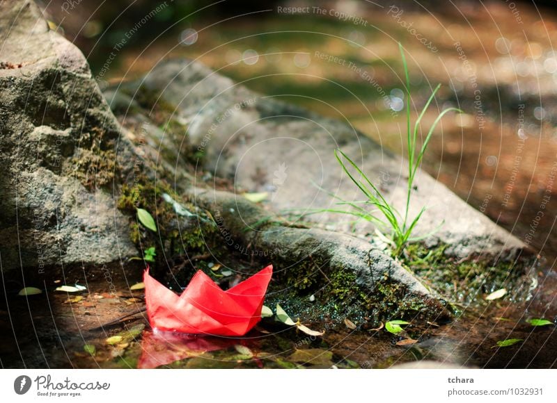 The big Trip starts with small steps Joy Freedom Nature Wind Grass Leaf Rock River Paper Toys Red Idea Nautical Vessel Paper boat Water Origami Orange