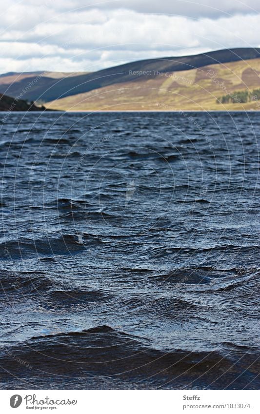 Summer in Scotland Scottish nature Scottish Sea Nordic Scottish summer Nordic romanticism Nordic nature Remote Scottish countryside peace August silent