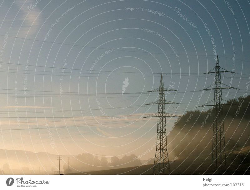 plane fog Morning Fog High fog Fog bank Morning fog Sun Sunrise Field Forest Tree Light Electricity pylon Cable High voltage power line Clouds Panorama (View)