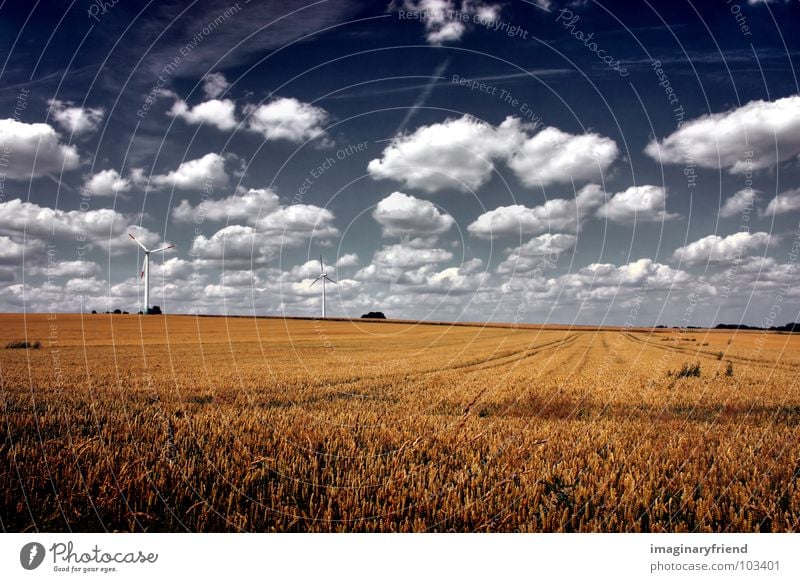 this hard land Field Wheat Clouds Countries Meadow Agriculture Summer July Sky Grain country Landscape Farm farming Wind energy plant