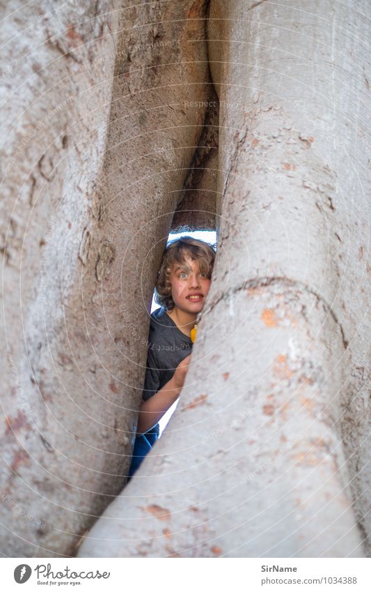 321 Children's game Hide Climbing Boy (child) Human being 8 - 13 years Infancy Tree Touch Discover To hold on Communicate Smiling Looking Playing Growth