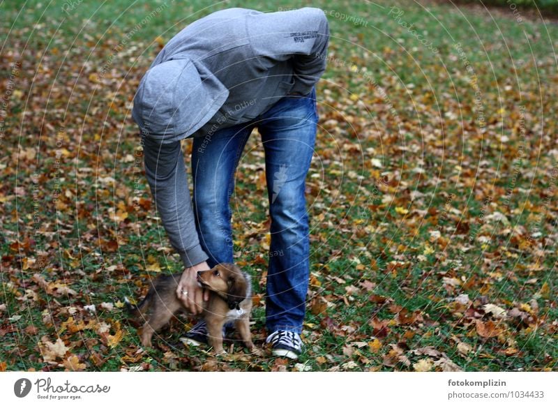 big man and little puppy Man Dog Touch Human being Pet Humans and animals Baby animal Together Small Caress Safety Protection Safety (feeling of) Agreed