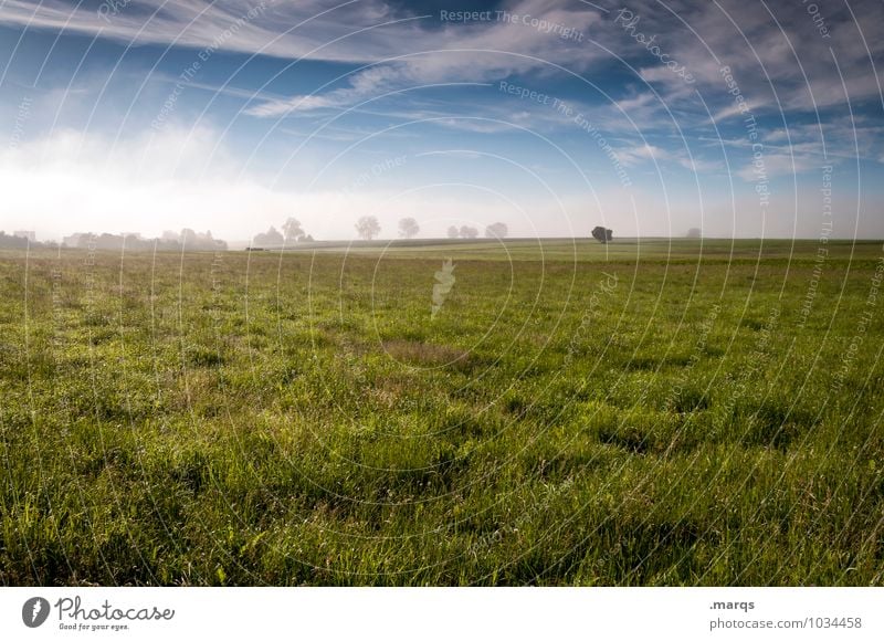 country air Environment Nature Landscape Sky Clouds Horizon Spring Summer Climate Beautiful weather Tree Meadow Fresh Natural Juicy Emotions Idyll Country life