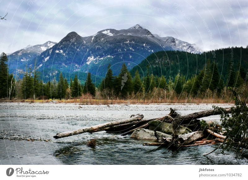 The Rockies Environment Nature Landscape Plant Elements Water Sky Horizon Winter Weather Beautiful weather Tree Discover Canada Rocky Mountains Colour photo