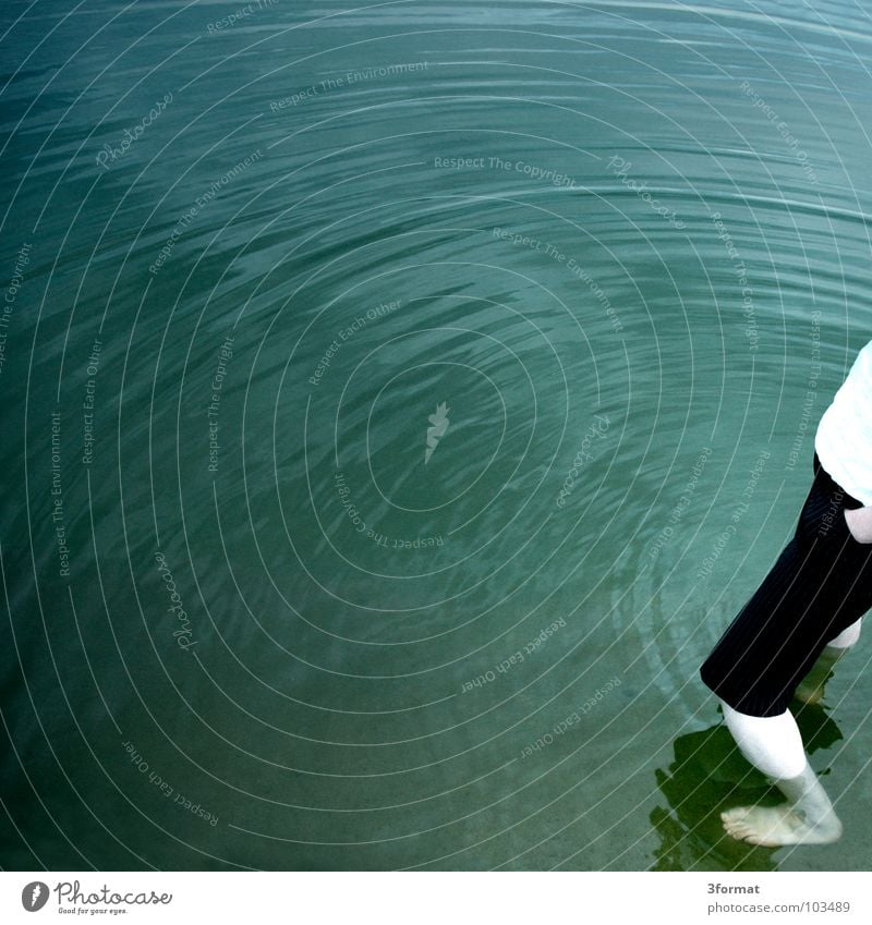 ring Surface Surface of water Lake Ocean Beach Waves Turquoise Gray Bird's-eye view Calm Flat Reflection Mirror Bathing place Summer Vacation & Travel