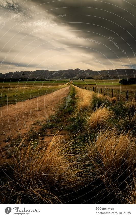 THE STORM Adventure Freedom Jogging Environment Nature Landscape Clouds Storm clouds Summer Climate Climate change Bad weather Wind Gale Meadow Field Hill