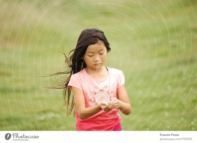 found Girl Japan China Meadow Grief Curiosity Child Foreign countries Wind Sadness