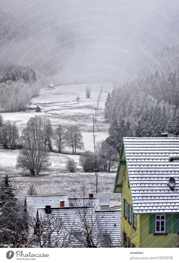 housing exodus Landscape Plant Clouds Winter Weather Bad weather Ice Frost Snow Tree Meadow Forest Mountain Village Deserted House (Residential Structure)