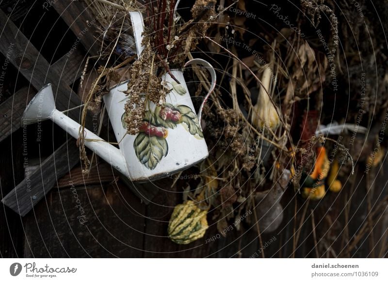 autumn picture Garden Watering can Old Dark Brown Black White Subdued colour Detail Deserted