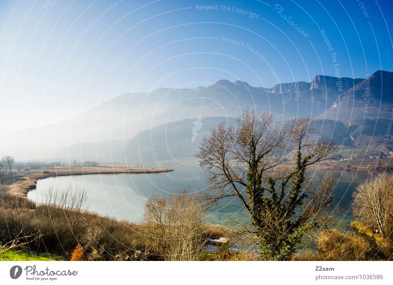 Lake Kaltern Sun Winter Winter vacation Mountain Environment Nature Landscape Sky Cloudless sky Sunlight Beautiful weather Fog Tree Bushes Alps Lakeside