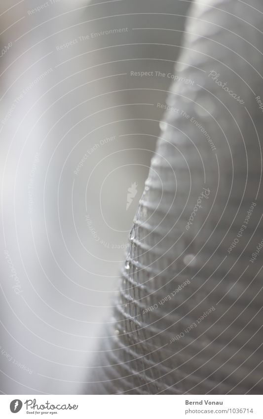 Stay! Winter Construction site Water Drops of water Weather Bad weather Rain Plastic Net Hang Bright Cold Wet Gray Rainwater Arch Curve Upward Individual