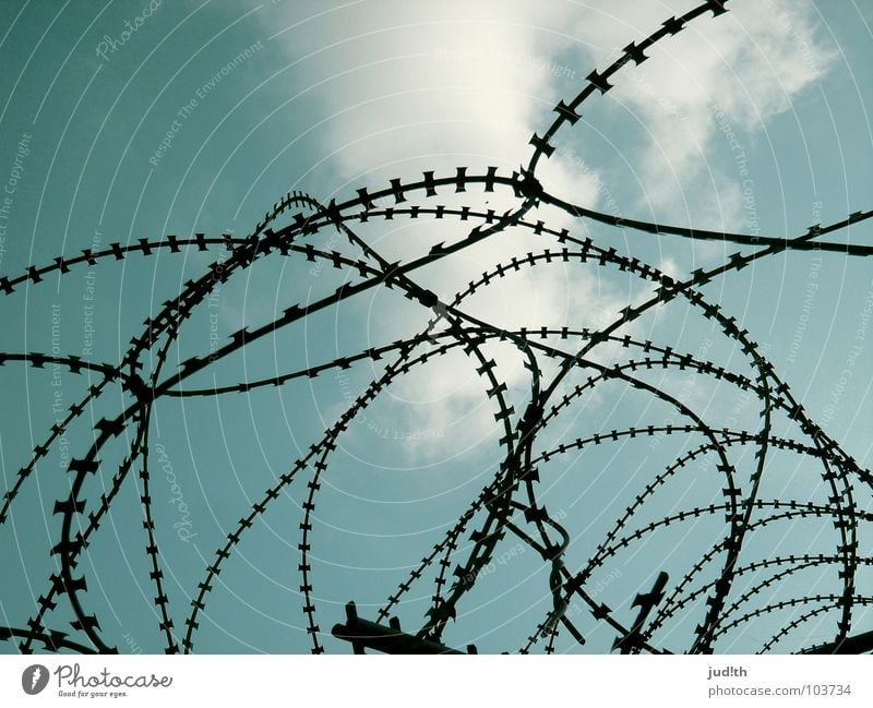 outburst Grating Barbed wire Barbed wire fence Fence Clouds White Captured Wire Dream Dangerous Drift Narrow Guard Surveillance Sky Feeble Penitentiary Blue