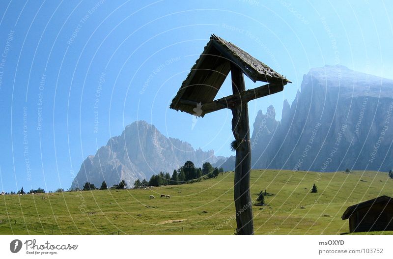 Zallinger Alm Langkofel Seiser Alm Crucifix Alpine pasture Mountaineering Plattkofel Back cross stick Blue sky