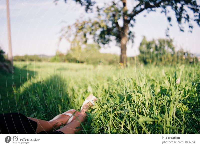 A beautiful summer day Meadow Green Physics Flip-flops White Airy Tree Apple tree Relaxation Woman Calm Exterior shot Summer Nature Swabia Warmth Feet Freedom