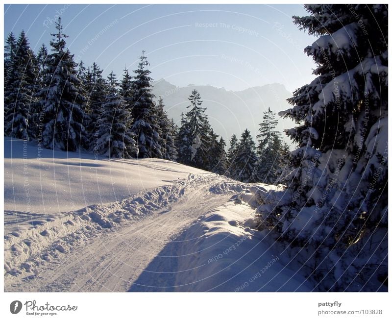 Winter walk in the Garmisch Alps Fir tree Beautiful Winter mood Background picture Bavaria Garmisch-Partenkirchen Gorgeous Mountain Snow Landscape Nature Sky