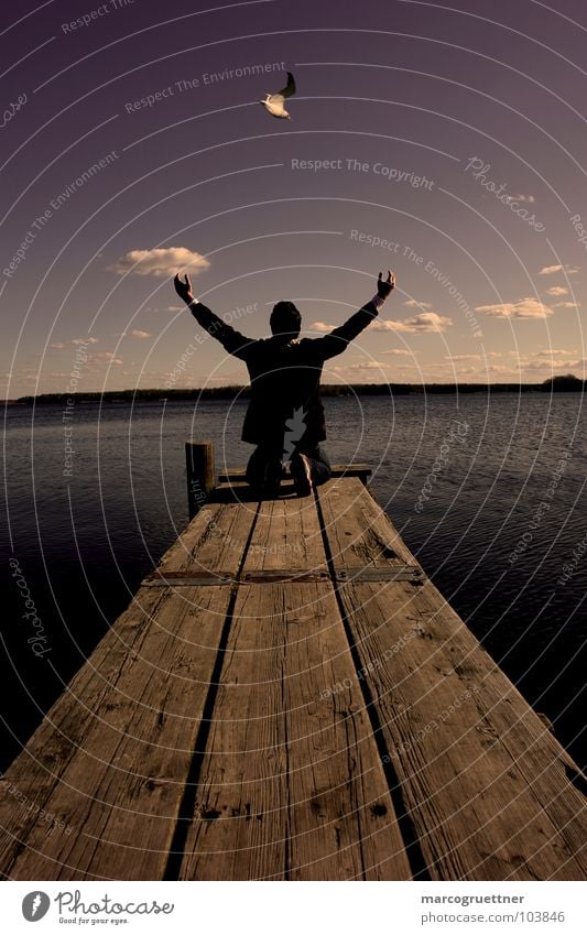 pray Prayer Lake Bird Footbridge Clouds Concentrate Power Force Nature Sky Earth