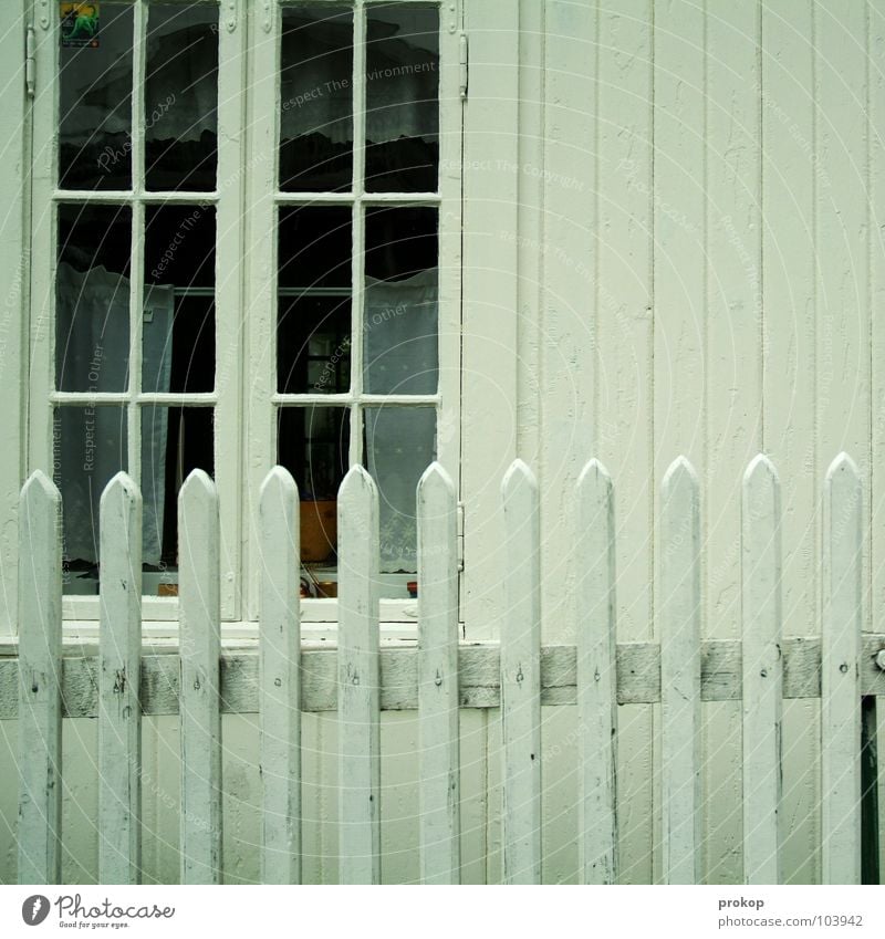 wren Fence House (Residential Structure) Detached house Wooden board Window Wooden house Stripe White Scandinavia Groomed Clean Tidy up Arrange Detail Beautiful