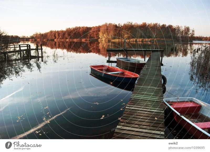 jetties Environment Nature Landscape Plant Cloudless sky Horizon Autumn Climate Beautiful weather Tree Bushes Forest Lakeside Island Wood Relaxation Lie Simple