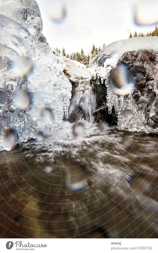 cold and wet Life Harmonious Contentment Relaxation Calm Adventure Winter Water Drops of water Beautiful weather Ice Frost Brook Waterfall Mountain stream