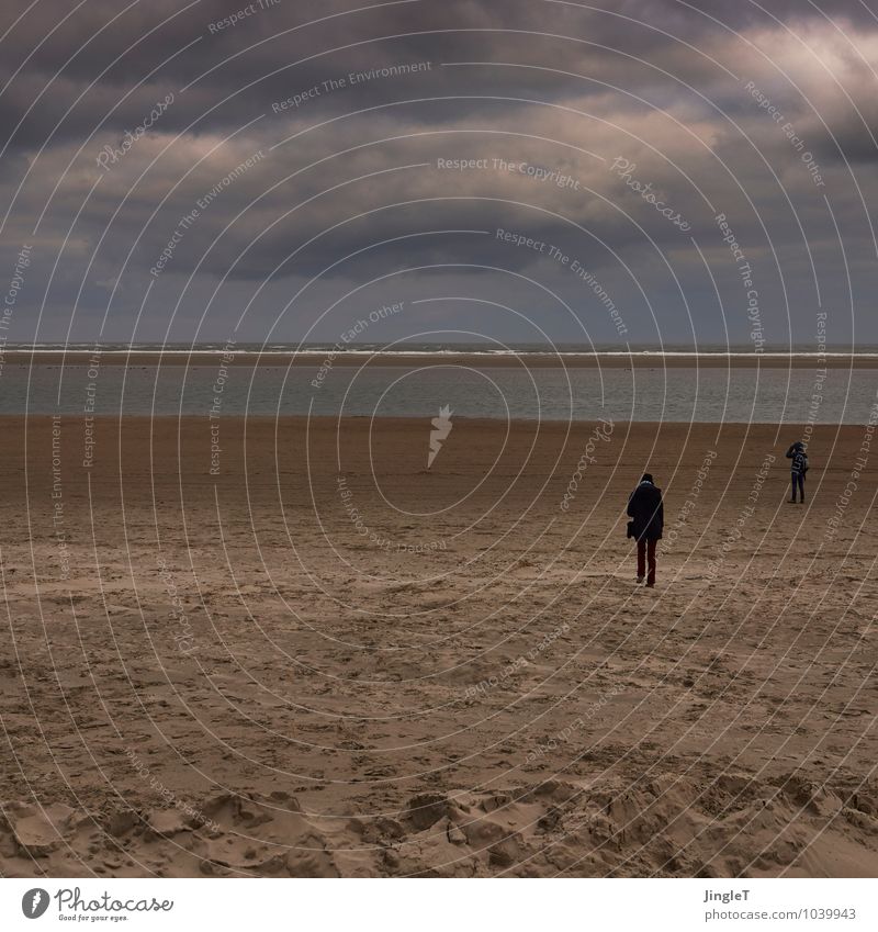 from disappearing in time Environment Nature Landscape Sand Water Sky Clouds Winter Coast North Sea Looking Stand Far-off places Blue Brown Gray Green Black