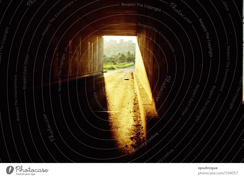 Become light. Light Tunnel Dark Summer Hope Beautiful Sun Evening Warmth Contrast Lighting