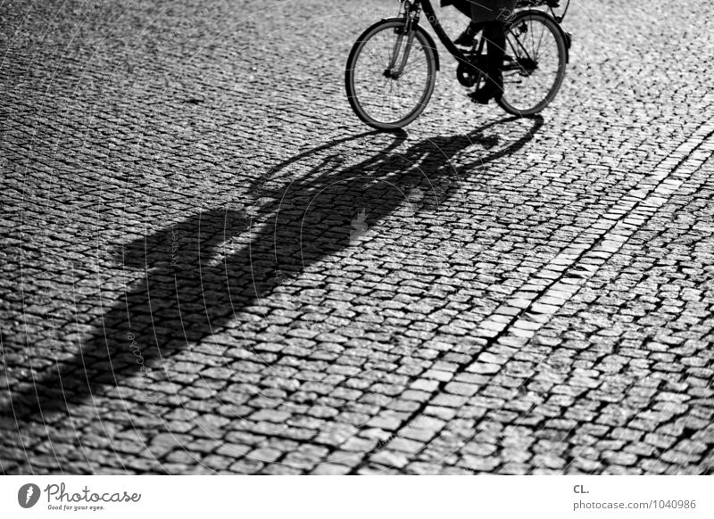 cycle Athletic Vacation & Travel Cycling Human being Adults Life 1 Summer Beautiful weather Places Transport Means of transport Traffic infrastructure Street