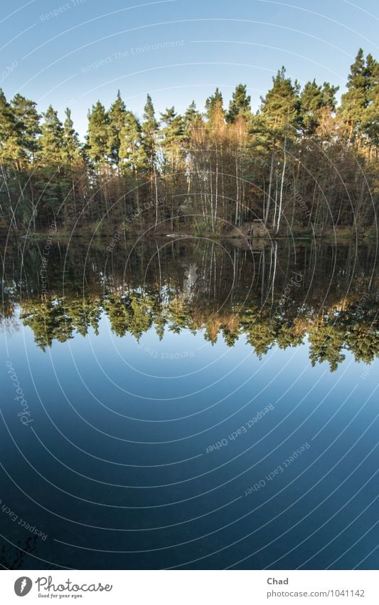 Still Water Trip Swimming & Bathing Environment Nature Landscape Plant Cloudless sky Sunrise Sunset Autumn Beautiful weather Tree Coast Lake Relaxation Wet