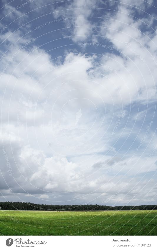 landscape Landscape Field Agriculture Clouds in the sky Summer Green Grass Forest Edge of the forest Beautiful weather Far-off places Air Environment Meadow